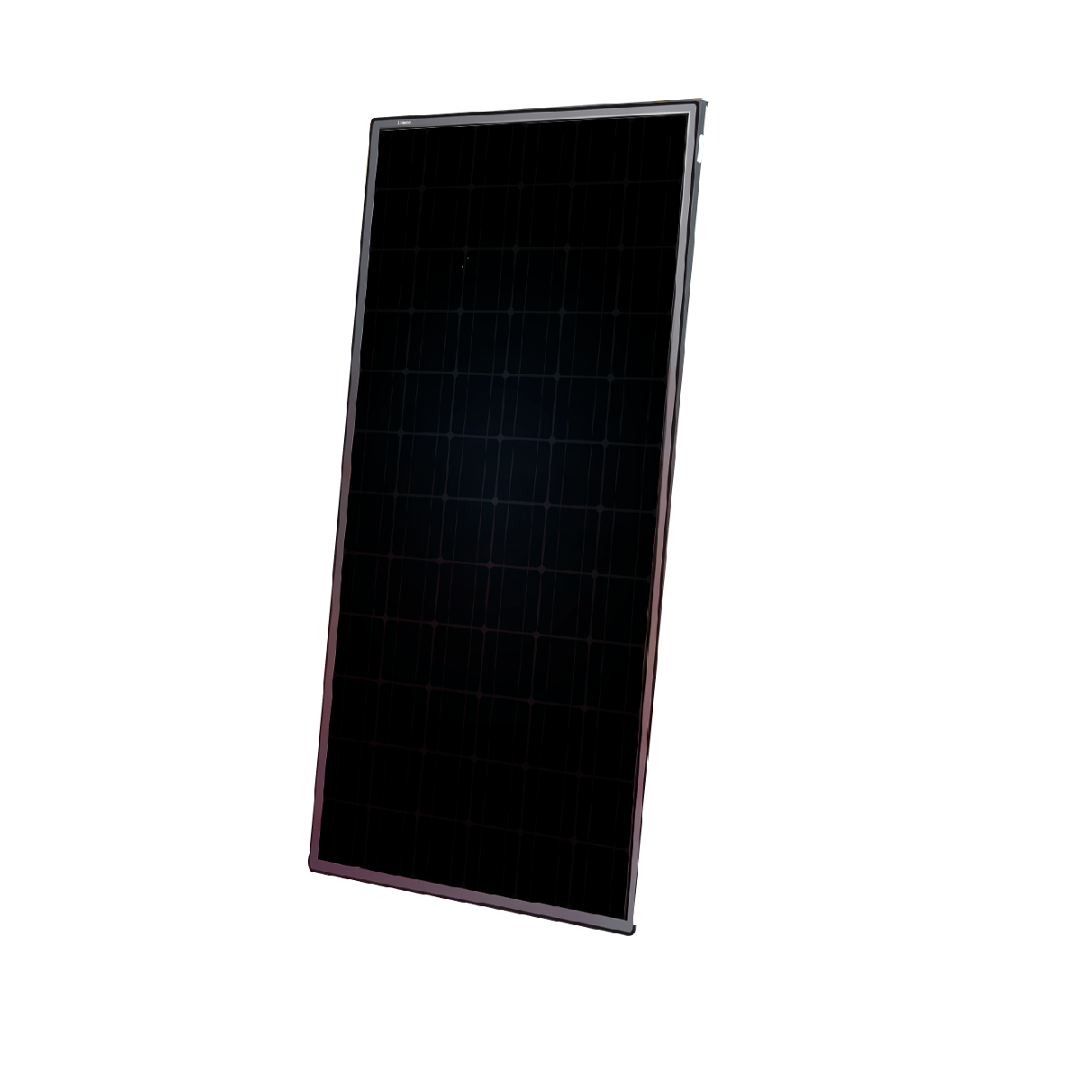 Solenso ACton Gorilla N60F_385