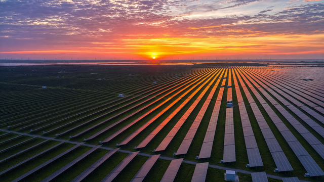 Rows of solar panels in a distribution warehouse, tied to 2026 supply and pricing trends