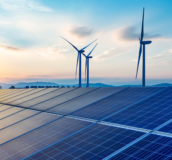 PES’s Procurement and Logistics Expertise