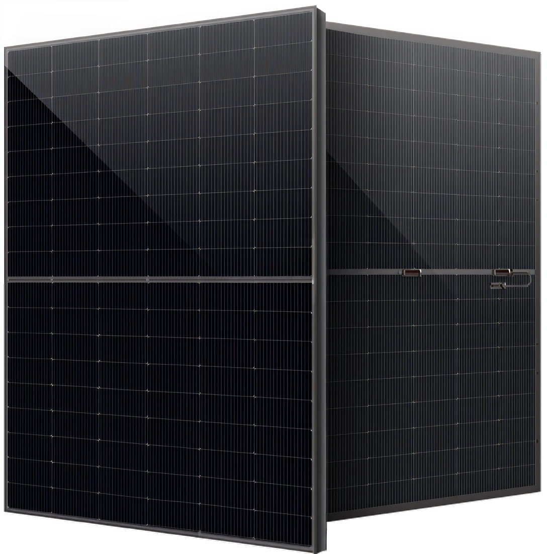 REGITEC 430W TOPCon Bifacial Solar Panel