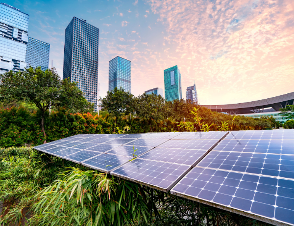Renewable Energy & (C&I) Utilities Solutions