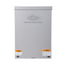 Briggs & Stratton 100 Transfer Switches - 240V | Portlandia Electric Supply
