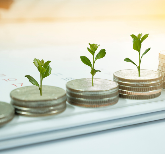 Stacks of coins with small plants growing on them, symbolizing financial growth.