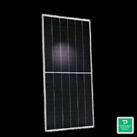 Qcells Q.PEAK DUO 590W Solar Panel - XL-G11S (original)