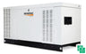 Generac Protector 60KW Automatic Standby Liquid-Cooled Gaseous Engine Generator in Aluminum Enclosure - RG06045 — front view