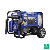 Pulsar-Ford Branded Dual Fuel Portable Generators - FG11050PBECO