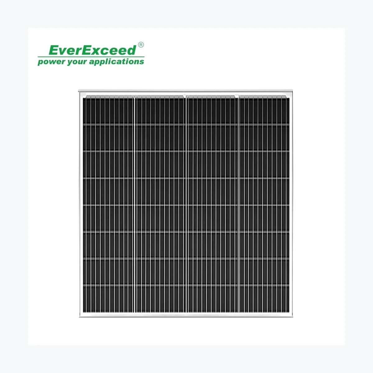 EverExceed 120W — EverExceed module (ENF-verified)