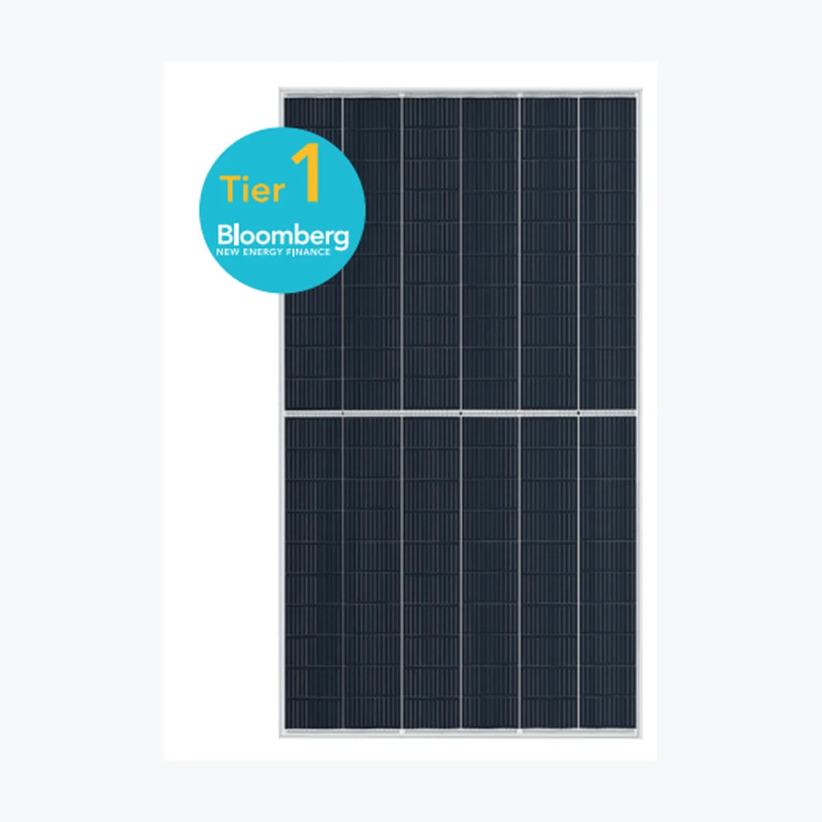 ABi-Solar AB600-60MHC — ABi Solar module (ENF-verified)