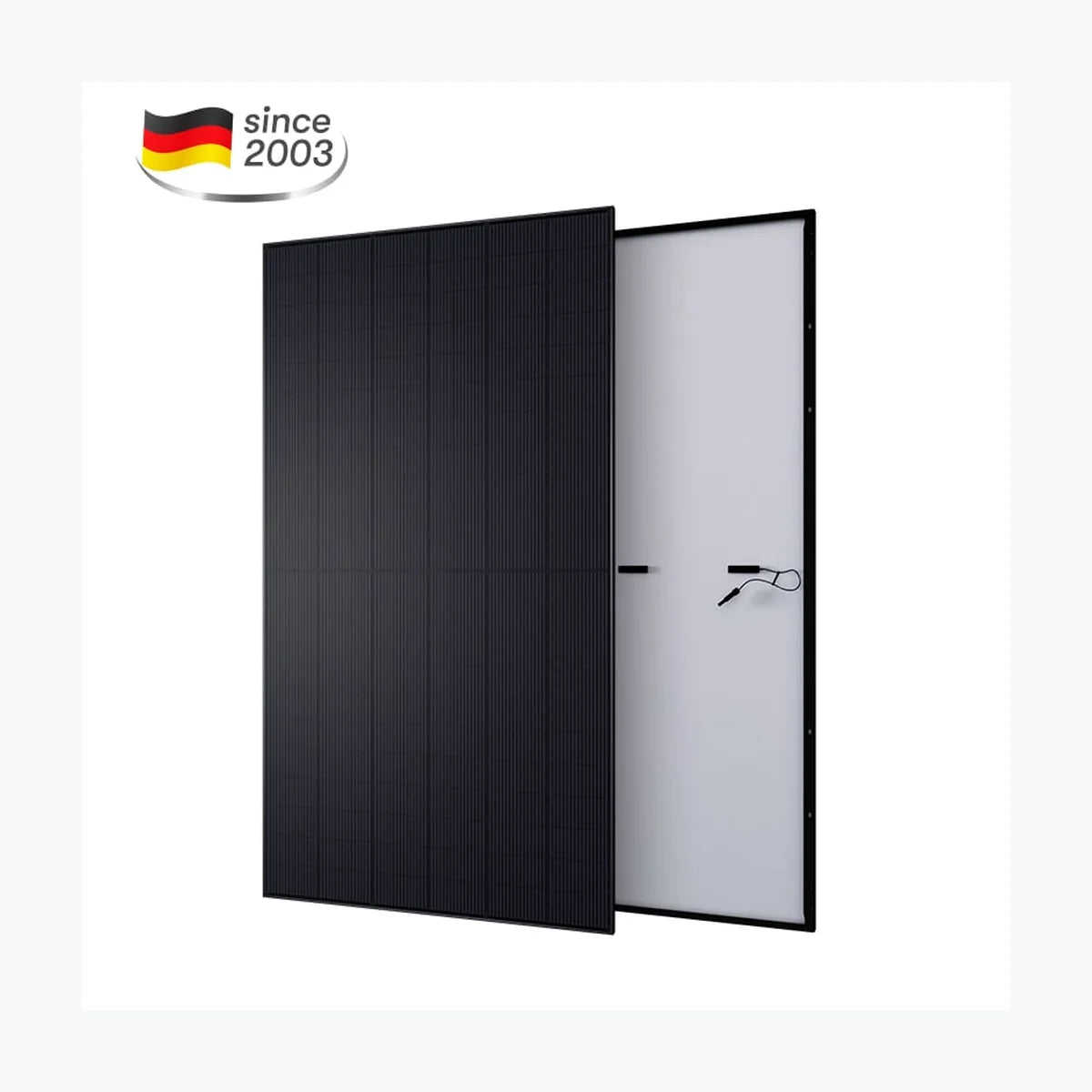 Aesolar AE485MD-132BS — Aesolar module (ENF-verified)