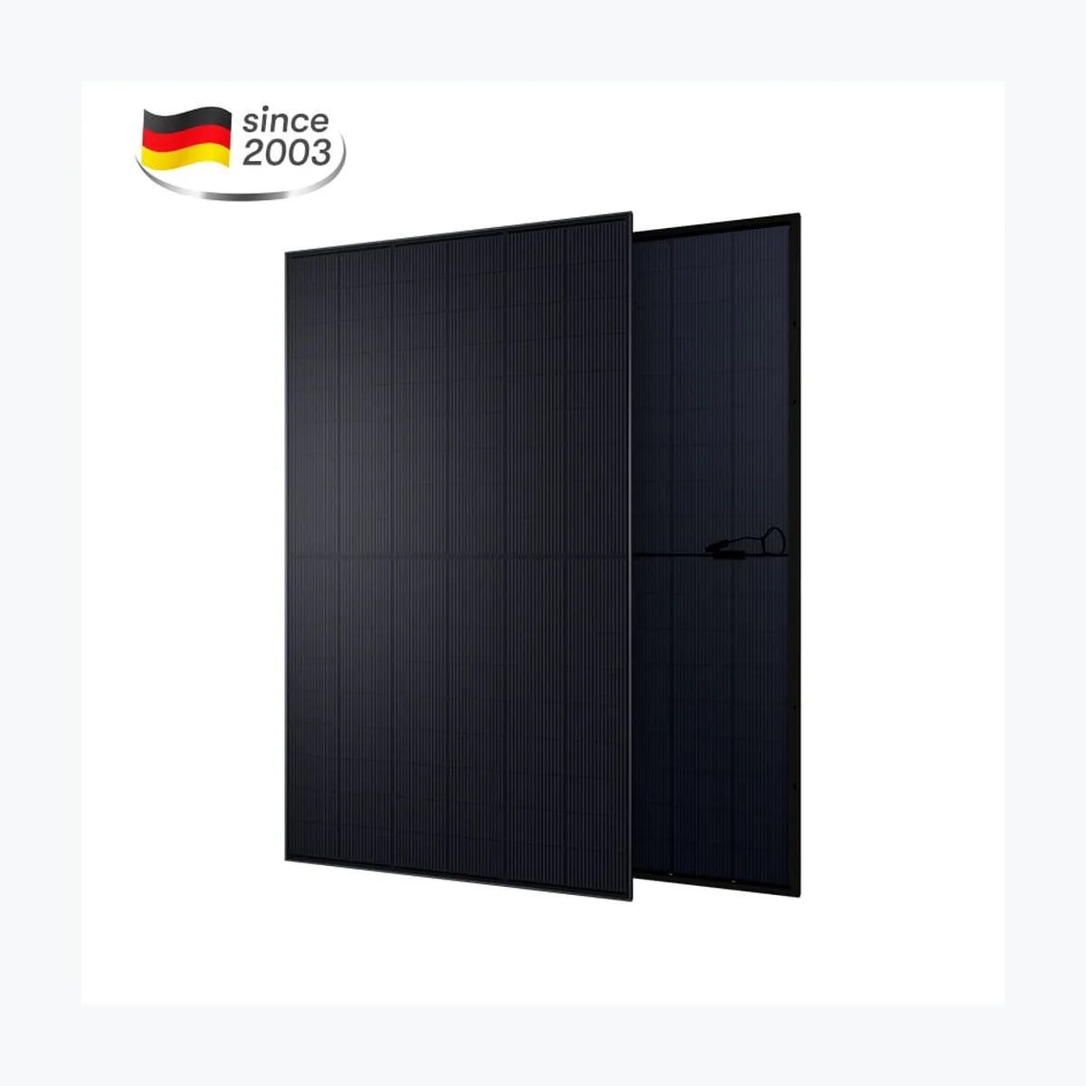 Aesolar AE 500 CMER-108BDE — Aesolar module (ENF-verified)