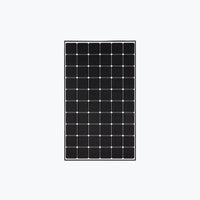 Livguard LGV12V165M — Livguard module (ENF-verified)