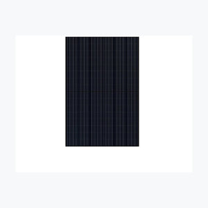 Solarever 450