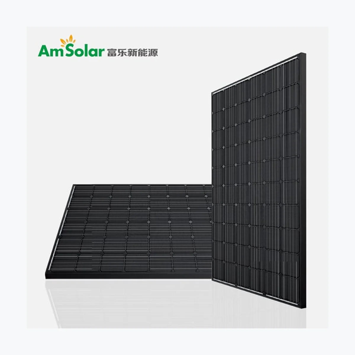 Am Solar FLSE310MB — Am Solar module (ENF-verified)
