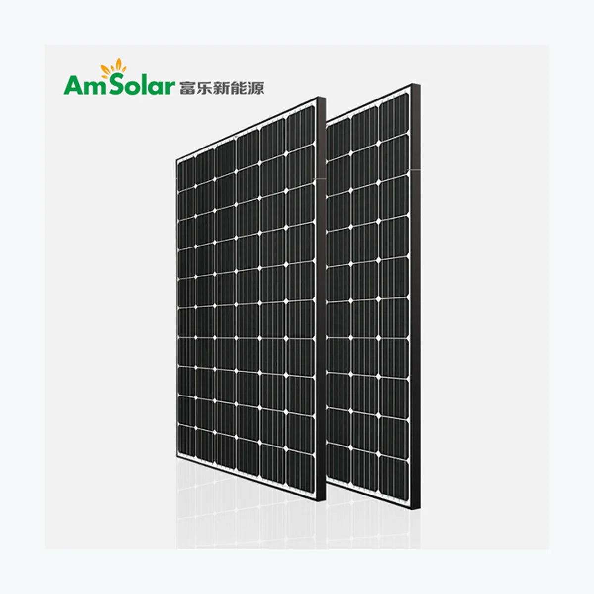 Am Solar FLSE315M — Am Solar module (ENF-verified)